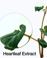 Anua - Heartleaf 80% Moisture Soothing Ampoule