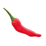 GLOSS CHILI BOMB SHINY EXTREME PLUMP ESSENCE