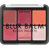 PALETTE DE FARDS A JOUES BLUR BLAM 010 CATRICE