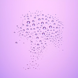 SPRAY FIXATEUR ULTRA LAST CATRICE