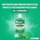 Bain de Bouche LISTERINE Protection Dents Et Gencives