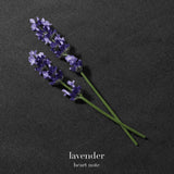 Emporio Armani Stronger With You Absolutely